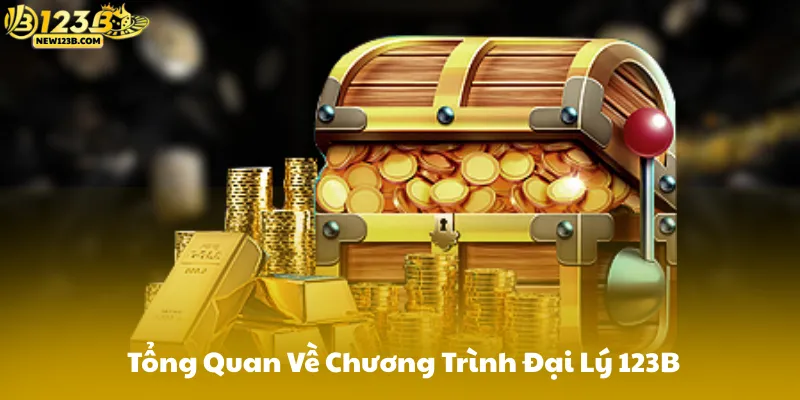 Tổng Quan Về Chương Trình Đại Lý 123B