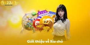 Giới Thiệu Về Xỉu Chủ Là Gì?